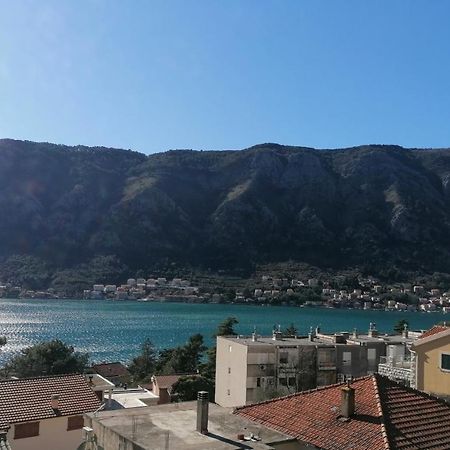 Albatros Apartman Kotor Kültér fotó